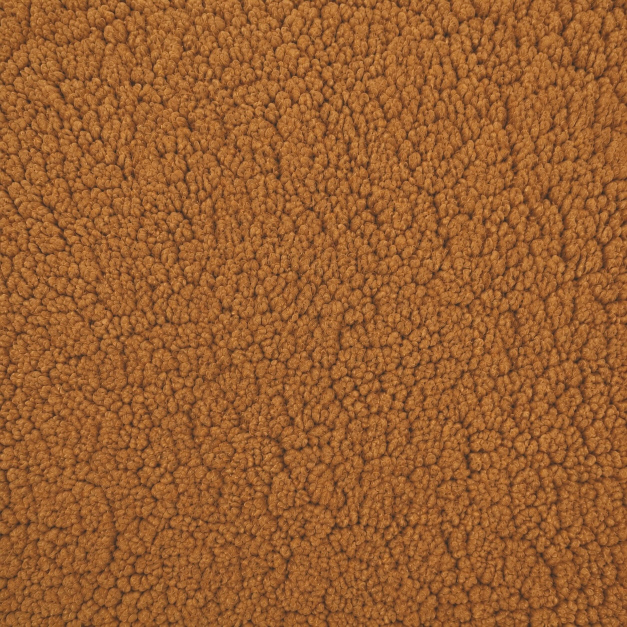 Sherpa / Camel