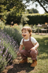 Jersey / Breton stripes Galet-Paprika