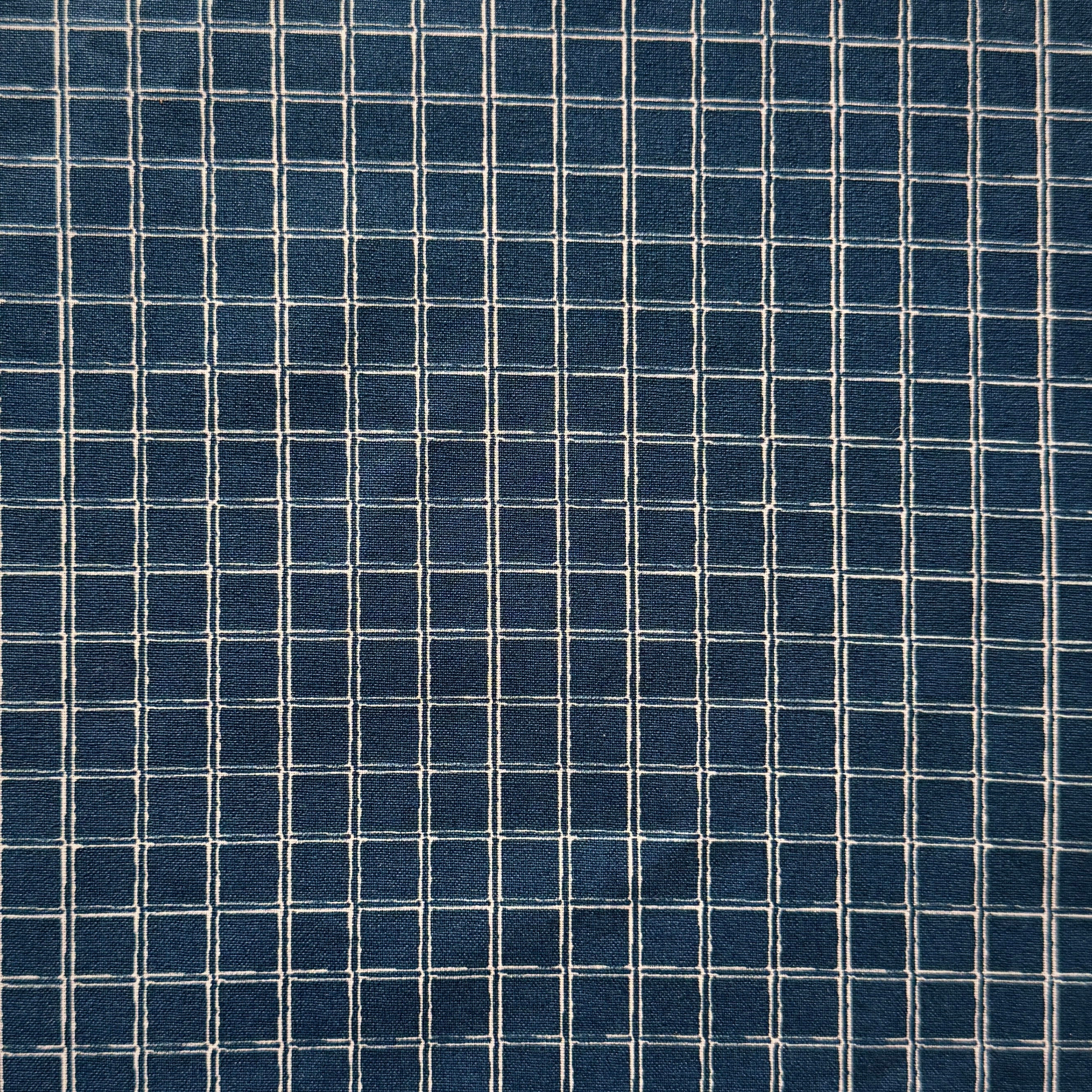 Coton enduit / Jules Bleu